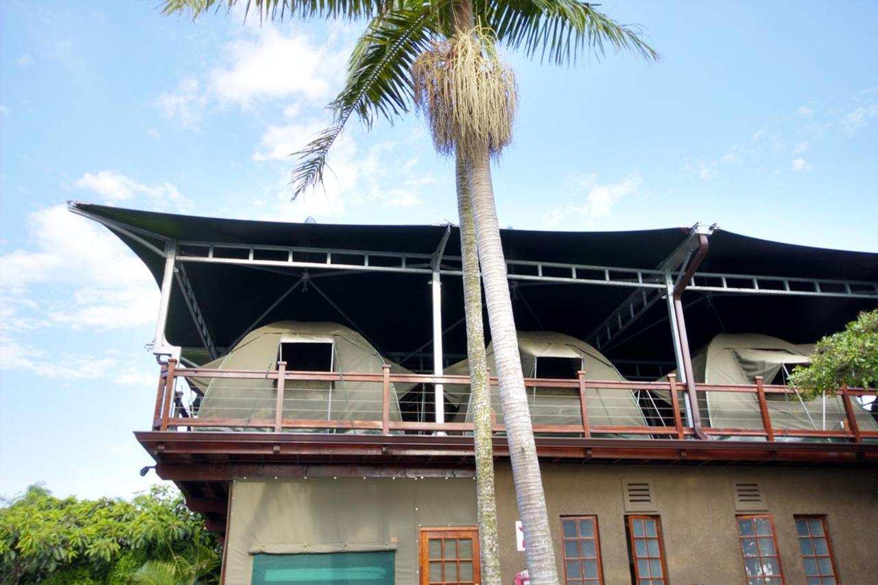 Urban Glamping Tranquil International Backpacking Village St Lucia Luaran gambar